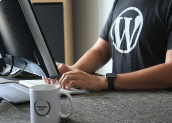 Как зарабатывать на разработке WordPress и утереть нос программисту