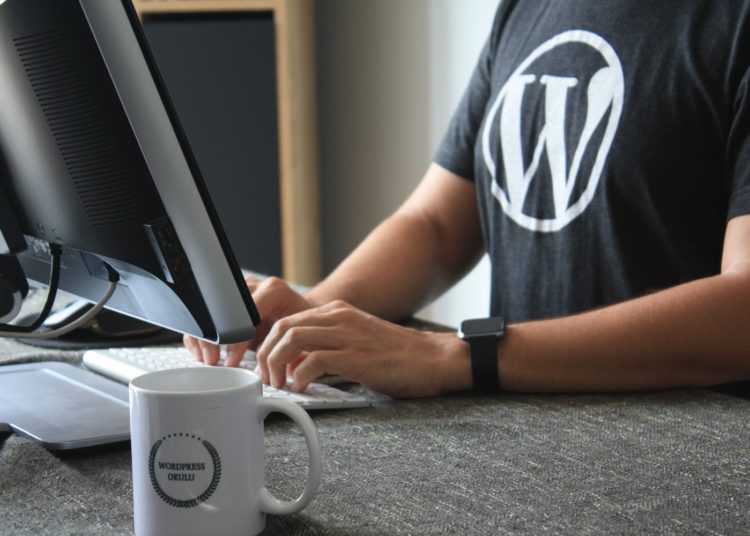 Как зарабатывать на разработке WordPress и утереть нос программисту