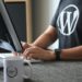 Как зарабатывать на разработке WordPress и утереть нос программисту